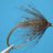 Flymph
